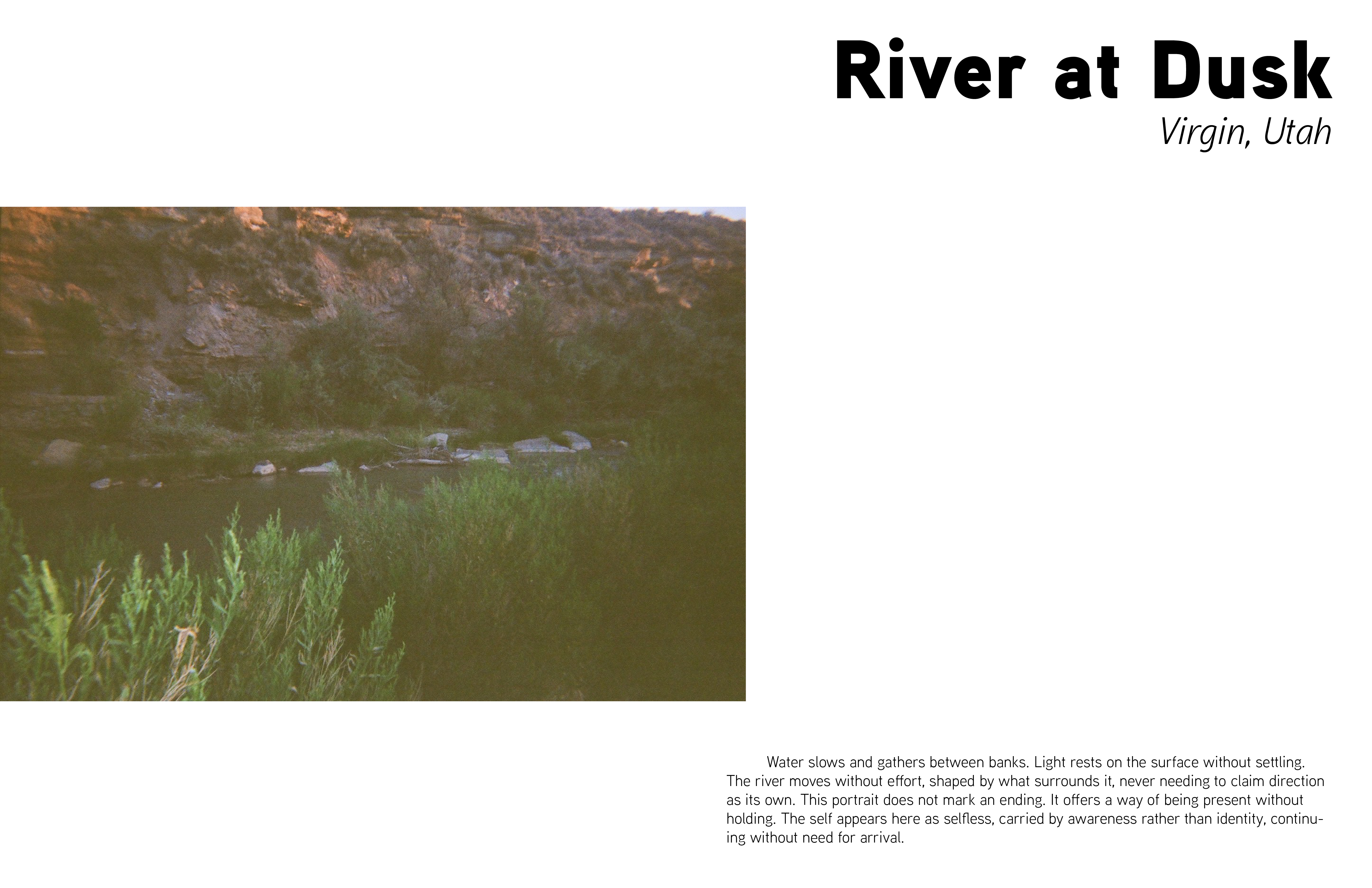 POTRAIT OF THE SELFLESS SELF page 14