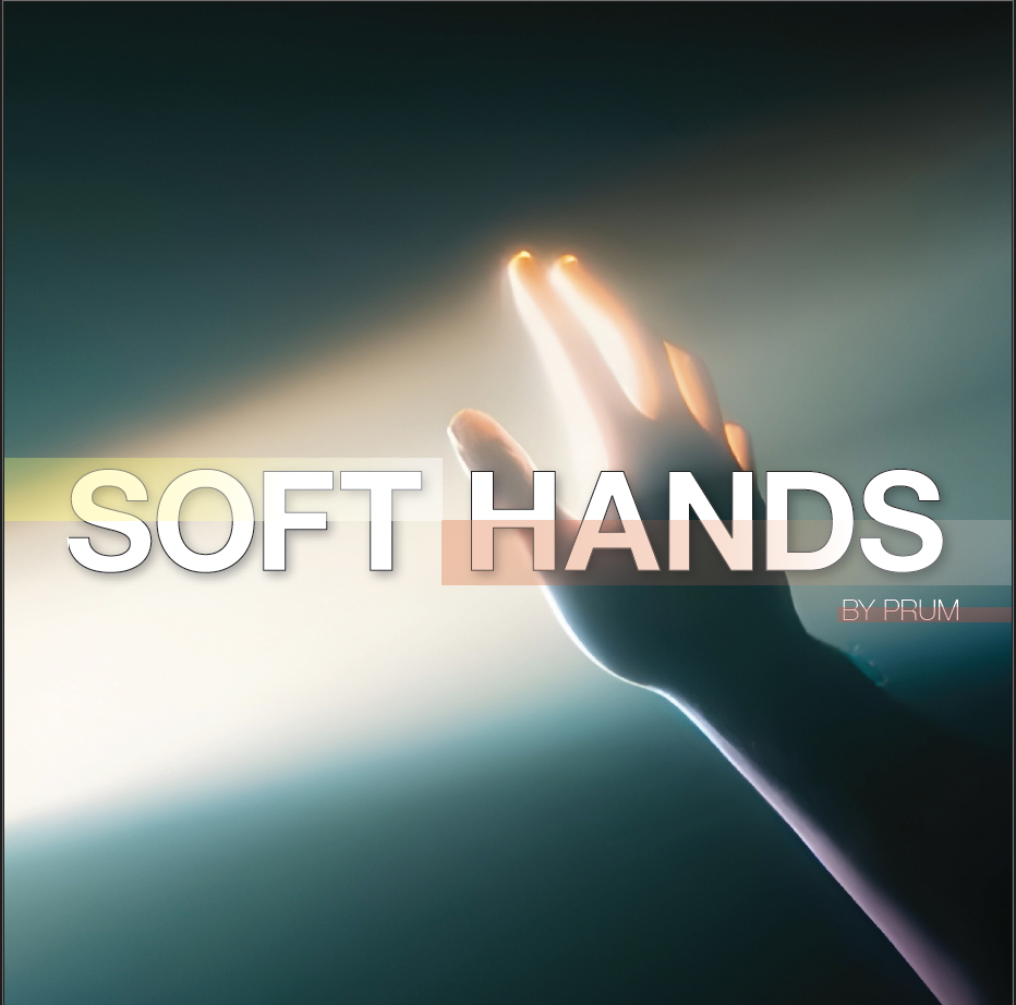 SOFT HANDS frame 02