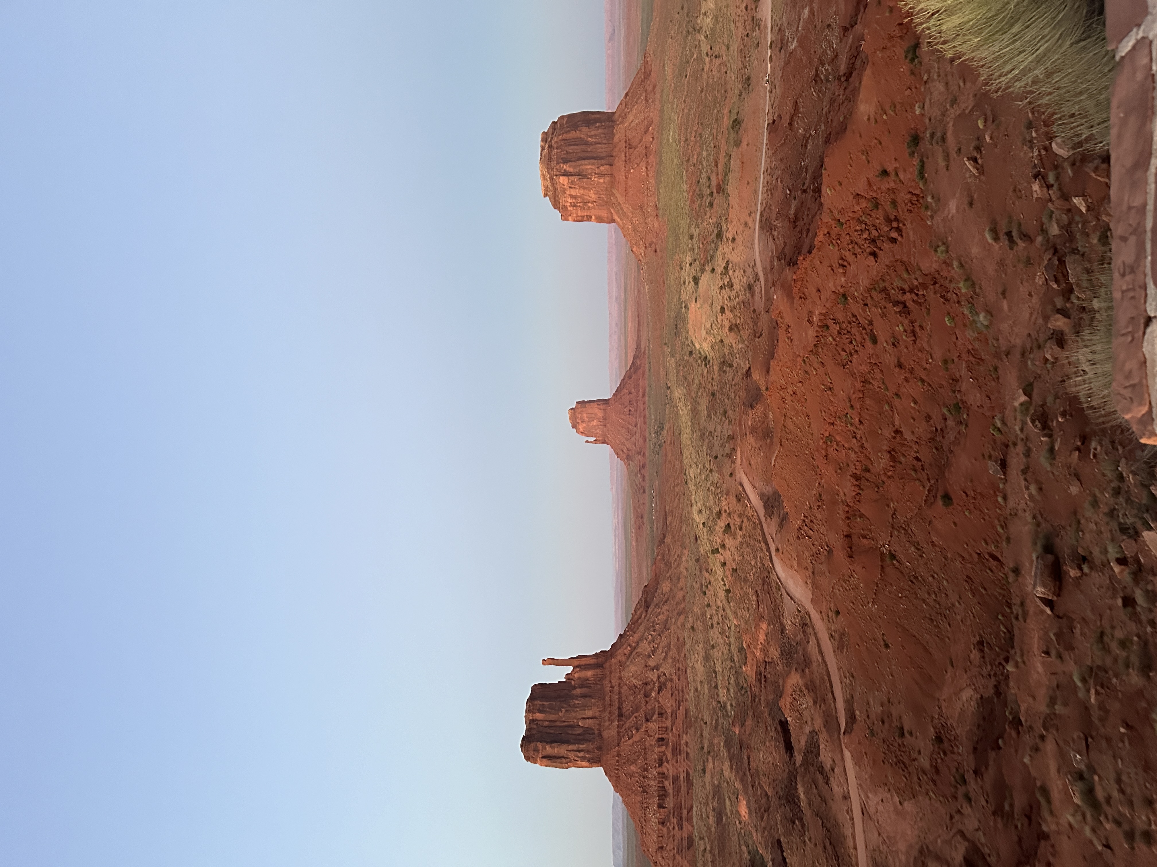 Digital selection 13