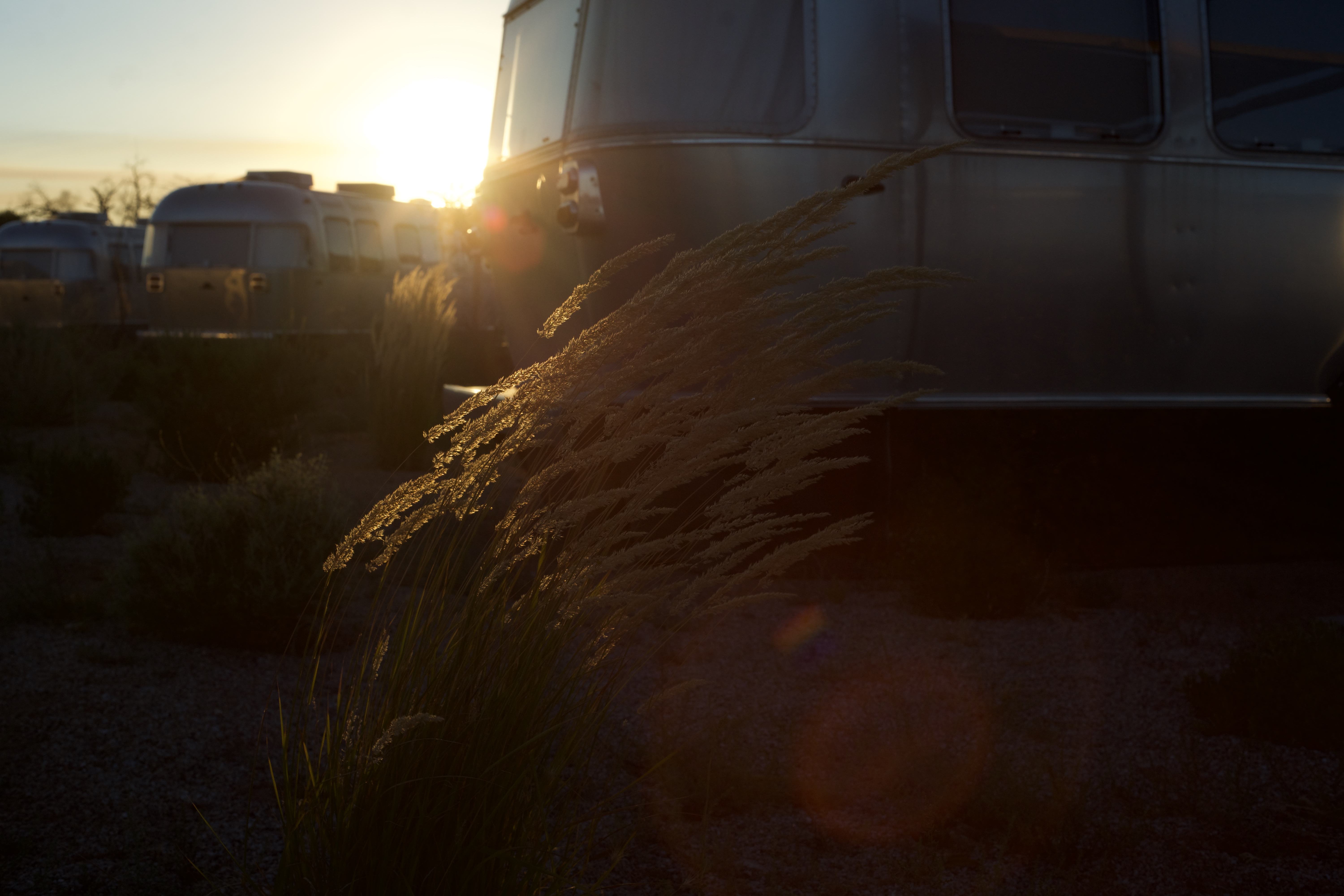 Digital selection 16