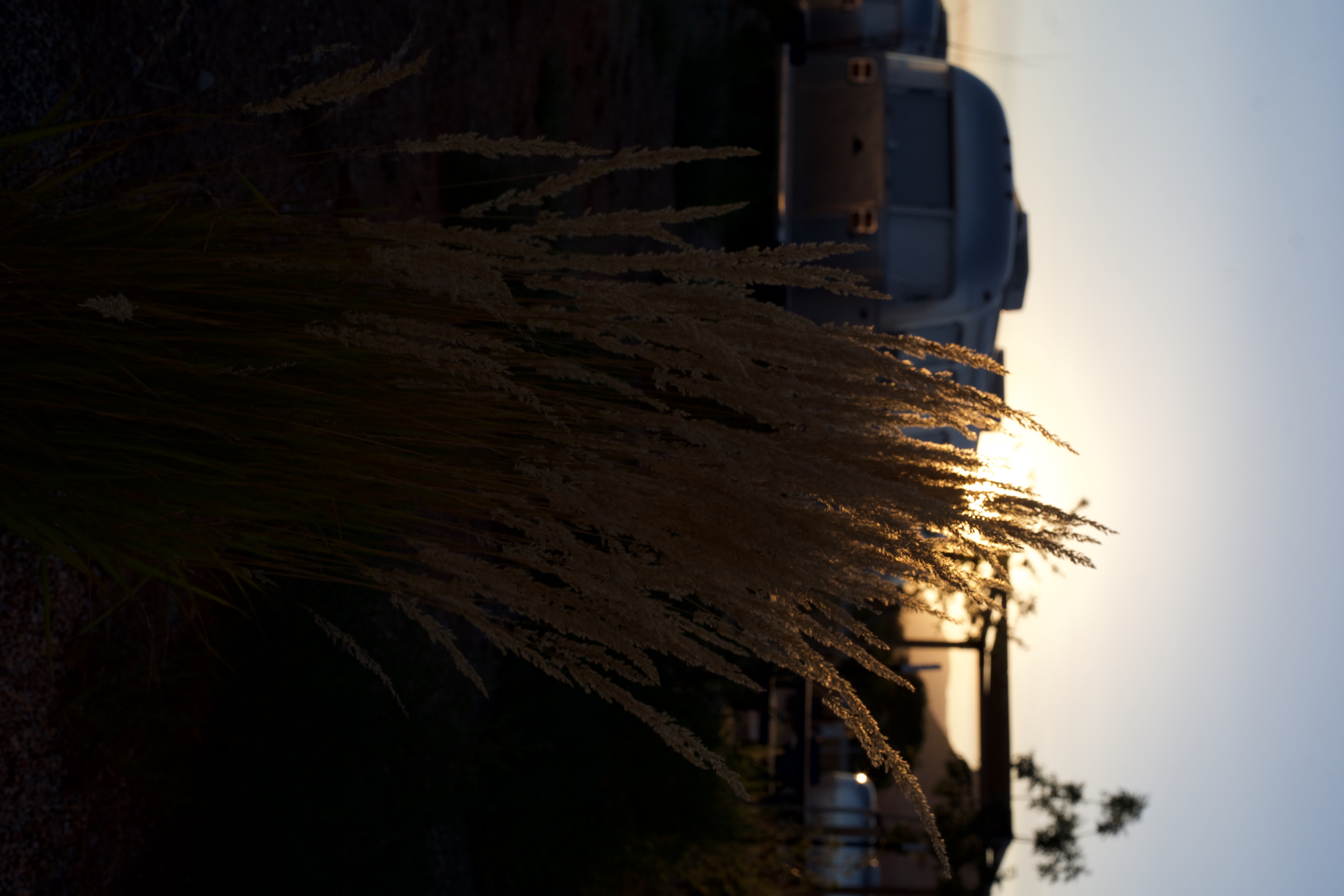 Digital selection 17