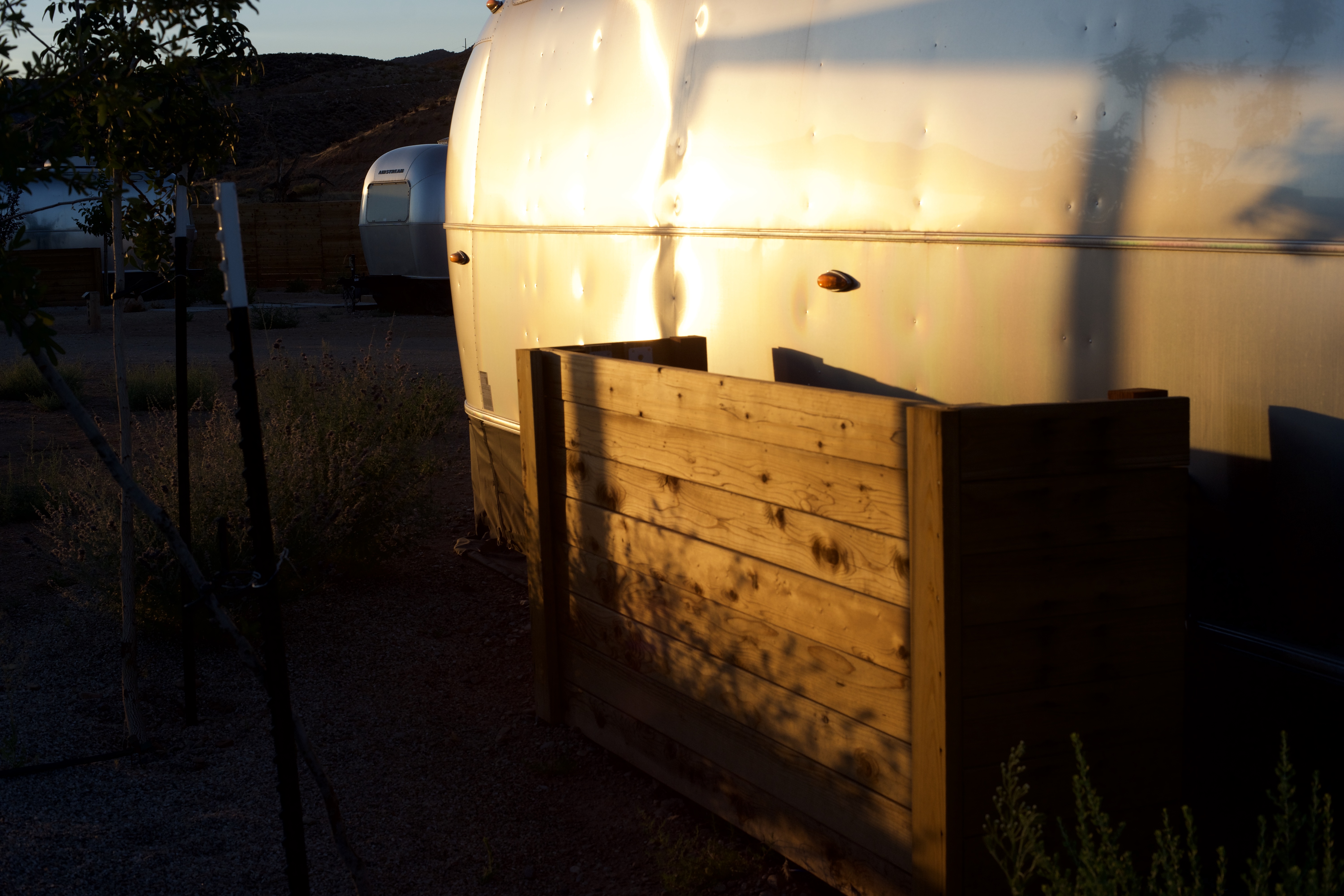 Digital selection 19