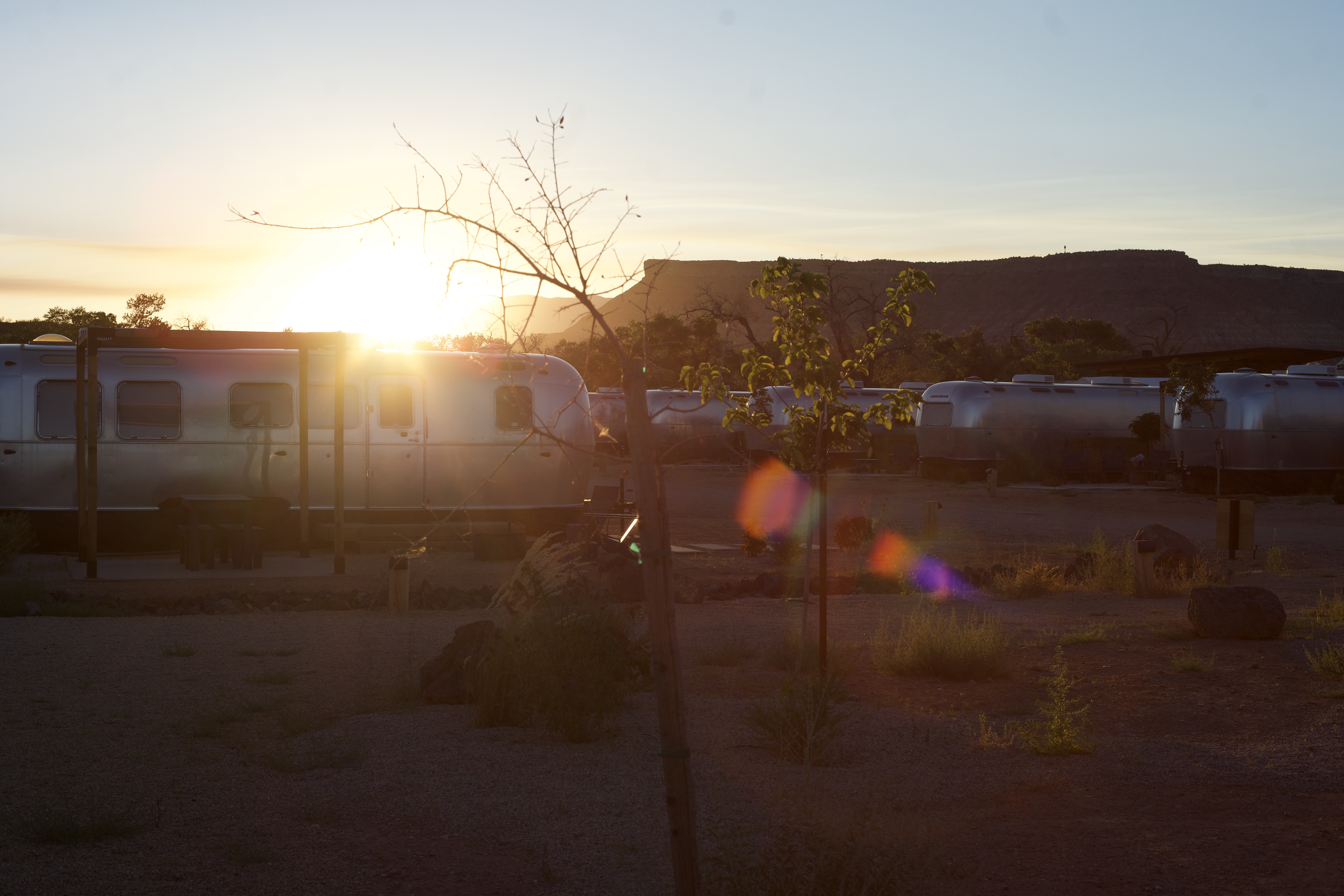 Digital selection 23